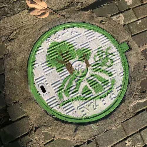 舒柳婷，孔佳莹，屠冯璐，薛珊珊，梁馨匀，曹欢，汪陈琪，潘晓玲，方婷，裘沁渊