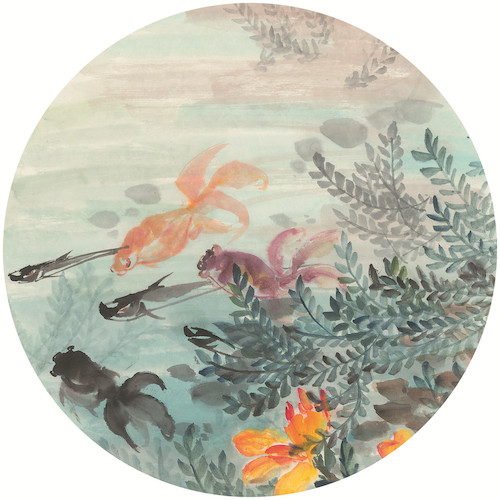 版纳花卉系列8