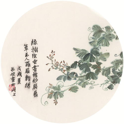 版纳花卉系列1