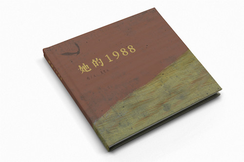 吴艺文  她的1988  绘本设计  2018年 3